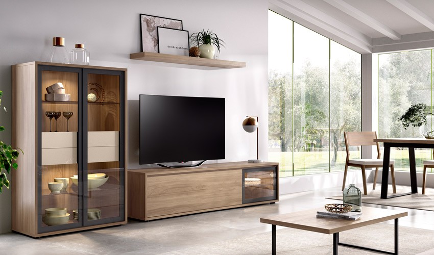 Mueble de salón con estantes y modulo TV