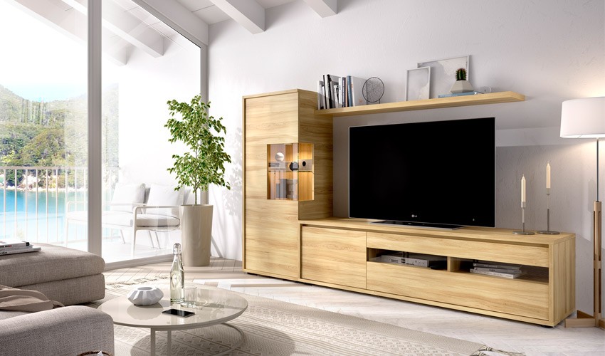 Mueble de salón con estantes y modulo TV