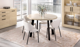 Mesa de Comedor redonda fija con pata metálica Ref Y47000