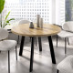 Mesa de Comedor redonda extensible con pata metálica Ref Y48000
