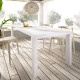 Mesa de comedor extensible Ref Y53000