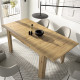 Mesa de comedor extensible Ref Y54000
