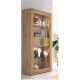 Salón moderno con módulo bajo, vitrina y estante Ref YT15