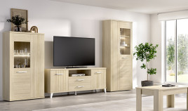 Salón moderno con módulo bajo y vitrinas Ref YT18