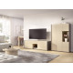 Salón moderno con módulo bajo y vitrina Ref YD2509