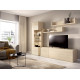 Salón moderno con módulo bajo y vitrina Ref YD2516