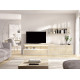 Salón moderno con módulos bajos, soporte tv y estantería Ref YD2519