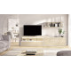 Salón moderno con módulos bajos, soporte tv y estantería Ref YD2519