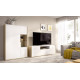 Salón moderno con módulo bajo y vitrina Ref YD2523