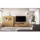 Salón moderno con módulo bajo y vitrina Ref YD2524