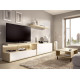 Salón moderno con módulos bajos con puertas, cajones y soporte tv Ref YD2525