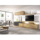 Salón moderno con módulos bajos y altos y soporte Tv Ref YD2528