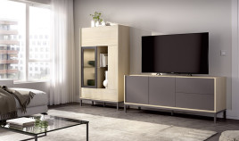 Salón moderno con módulo bajo y vitrina Ref YD2534
