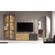 Salón moderno con módulo bajo y vitrina Ref YD2538