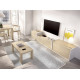 Salón moderno módulos bajo con puertas y cajones Ref YD2543