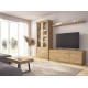Salón moderno con módulo bajo y vitrina Ref YD2545