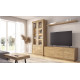 Salón moderno con módulo bajo y vitrina Ref YD2545