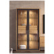 Salón moderno con módulo bajo colgado y vitrina Ref YD2546