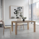 Mesa de Comedor extensible con acabado lacado o en chapa natural Ref L13000