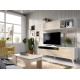 Salón moderno con módulo televisión y módulo colgante Ref YK73