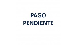 Pago Pendiente