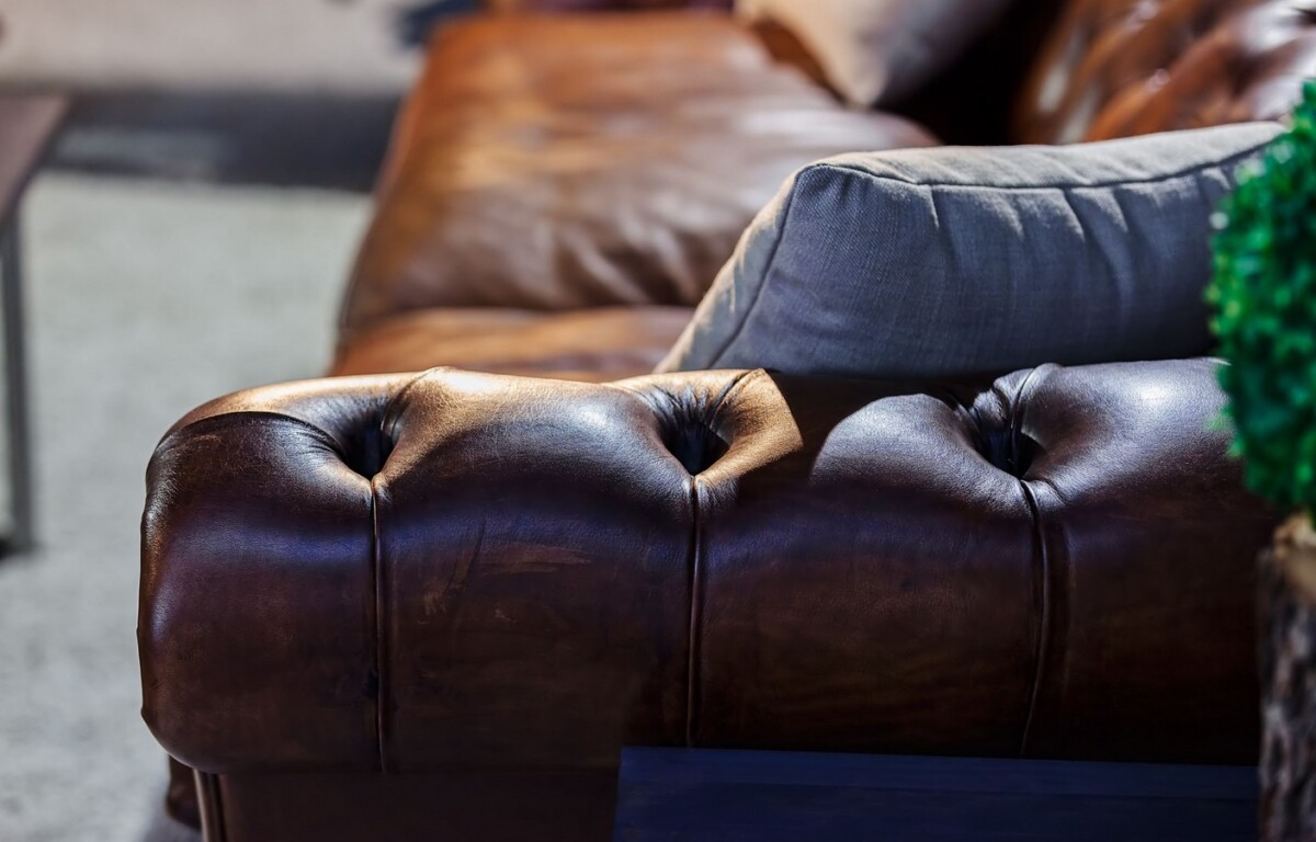 Cómo diferenciar en un sofá la piel auténtica de sintética - Consejos e útil sobre sofás