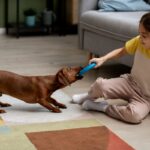 Alfombras lavables: la solución ideal para hogares con niños y mascotas